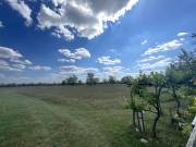 Kiadó 3000 m2-es külterületi telek Gönyű