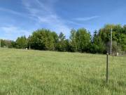 Eladó 1500 m2-es építési telek Gyúró