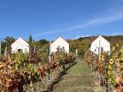 Eladó 270 m2-es családi ház Paloznak