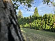 Eladó 721 m2-es külterületi telek Szombathely