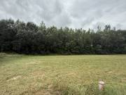 Eladó 1840 m2-es építési telek Kimle