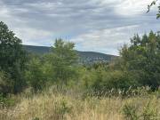 Eladó 2457 m2-es telek Szentendre, Névtelen utca