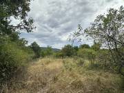 Eladó 2456 m2-es telek Szentendre, Névtelen utca