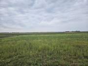 Eladó 1134 m2-es építési telek Dunaszeg