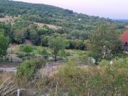 Eladó 2050 m2-es külterületi telek Balatonalmádi