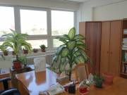 Eladó 200 m2-es irodaépület Zalaegerszeg, Békeligeti utca