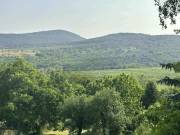 Eladó 720 m2-es építési telek Pomáz