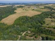 Eladó 170000 m2-es üdülőtelek Nemesbük