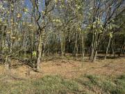 Eladó mezőgazdasági ingatlan Harkány