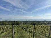 Eladó 6477 m2-es telek Balatonakali