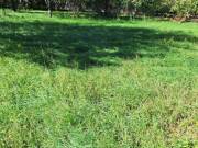 Eladó 1350 m2-es építési telek Szentes
