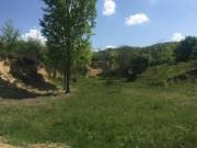 Eladó 54000 m2-es külterületi telek Teleki, Külterület