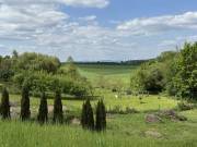 Eladó 4014 m2-es építési telek Pusztaberki, Kossuth út