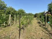 Eladó 750 m2-es külterületi telek Tárnok, Otelló utca