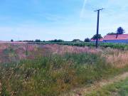 Eladó 880 m2-es építési telek Besnyő