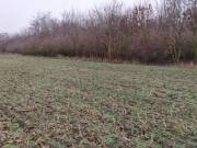 Eladó 1041 m2-es külterületi telek Siófok