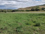 Eladó 1707 m2-es külterületi telek Mecseknádasd, Külterület