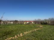 Eladó 1844 m2-es építési telek Villány