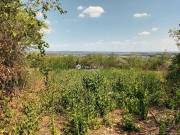 Eladó 1410 m2-es építési telek Érd