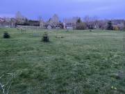 Eladó 1600 m2-es építési telek Sárszentmihály