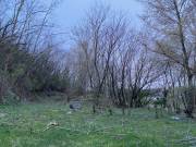 Eladó 1766 m2-es építési telek Felcsút, Petőfi utca