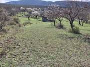 Eladó 11099 m2-es külterületi telek Csákvár, Zártkert