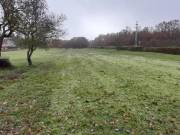Eladó 8158 m2-es külterületi telek Balatonudvari, Vászolyi út