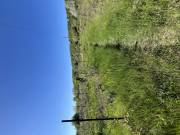 Eladó 1712 m2-es telek Várpalota