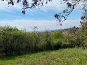 Eladó 1546 m2-es külterületi telek Sukoró