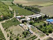 Kiadó 285318 m2-es mezőgazdasági ingatlan Putnok