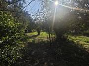 Eladó 1162 m2-es külterületi telek Vácrátót, Irány út