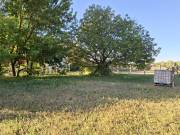 Eladó 840 m2-es építési telek Kiskunhalas