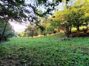 Eladó 3550 m2-es külterületi telek Kesztölc, Nincs utca