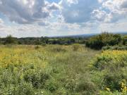 Eladó 12768 m2-es külterületi telek Hollád, Nincs utca