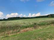 Eladó 76438 m2-es külterületi telek Hollád, Cservölgyi utca