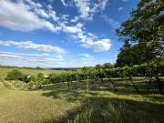 Eladó 4532 m2-es külterületi telek Sopron, Wosinszky Kázmér út