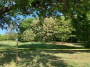 Eladó 600 m2-es építési telek Pilis