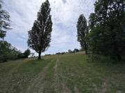 Eladó 7947 m2-es külterületi telek Neszmély, Külterület