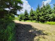 Eladó 38091 m2-es mezőgazdasági ingatlan Ivánc, Kossuth Lajos utca