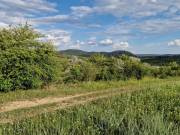 Eladó 250 m2-es mezőgazdasági ingatlan Budakeszi