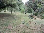 Eladó 2671 m2-es építési telek Ecser