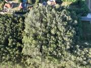 Eladó 9550 m2-es külterületi telek Kecskemét