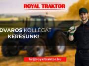 Udvaros kollégát keresünk!