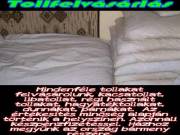 Toll felvásárlás 