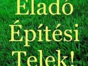 NYÍRSZŐLŐS KÖZELÉBEN ASZFALT ÚT MELLETT ÉPÍTÉSI TELEK ELADÓ