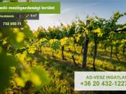 Eladó mezőgazdasági terület