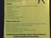 szobafestés, mázolás, laminált parketta, vinil lerakás