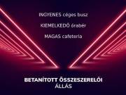 Összeszerelő munka_ Iklad