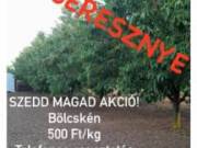 Szedd magad akció!!!!!