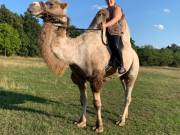 Tevegelési lehetőség 